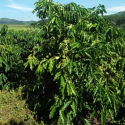 Sa Loong Village - Kon Tum