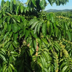 Sa Loong Village - Kon Tum