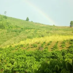 Sa Loong Village - Kon Tum