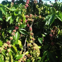 Sa Loong Village - Kon Tum