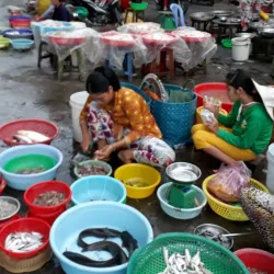 Long Xuyen Market - Long Xuyen