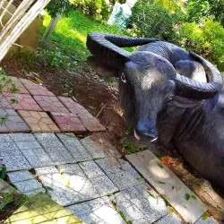 Long Xuyen Riverside Park - Long Xuyen