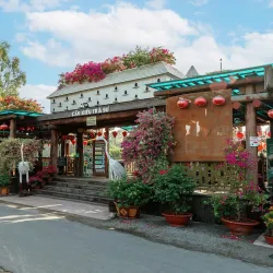 Tra Su Cajuput Forest - Long Xuyen