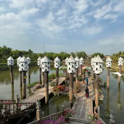 Tra Su Cajuput Forest - Long Xuyen