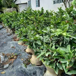 Ben Tre Province - Mekong