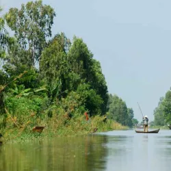 Dong Thap Muoi Wetlands - Mekong