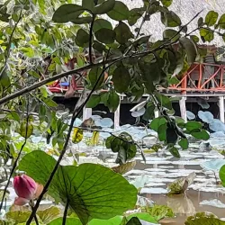 Dong Thap Muoi Wetlands - Mekong