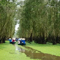 Tra Su Cajuput Forest - Mekong
