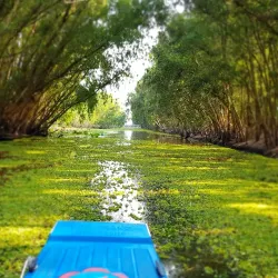Tra Su Cajuput Forest - Mekong