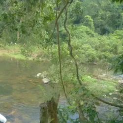 Khe Ro Mountain - Đông Triều