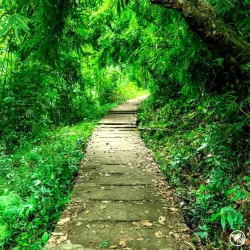 Khe Ro Mountain - Đông Triều