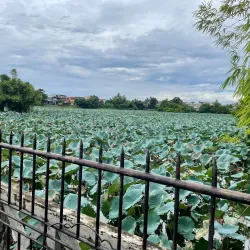 Tam Thanh Lake - Đông Triều