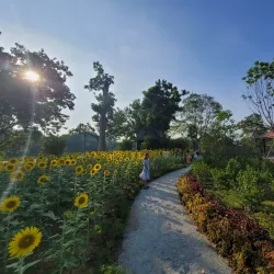 Tam Thanh Lake - Đông Triều