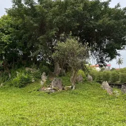 Tam Thanh Lake - Đông Triều