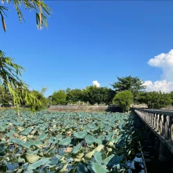 Tam Thanh Lake - Đông Triều