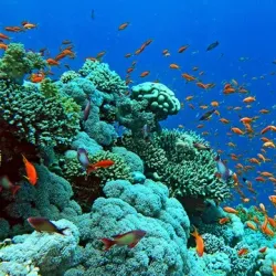 Hon Mun Island - Nha Trang