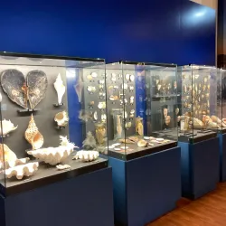 Institute of Oceanography - Nha Trang