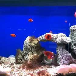 Institute of Oceanography - Nha Trang