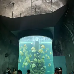 Institute of Oceanography - Nha Trang