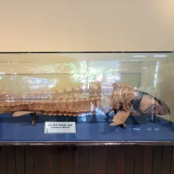 Institute of Oceanography - Nha Trang