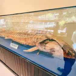 Institute of Oceanography - Nha Trang