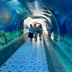 Institute of Oceanography - Nha Trang