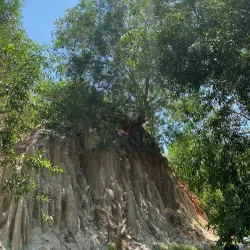 Fairy Stream (Suối Tiên) - Phan Thiet