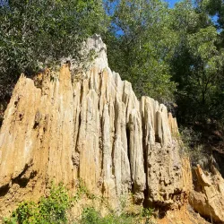 Fairy Stream (Suối Tiên) - Phan Thiet