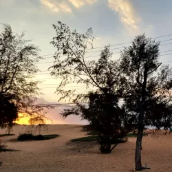 Red Sand Dunes (Đồi Cát Đỏ) - Phan Thiet