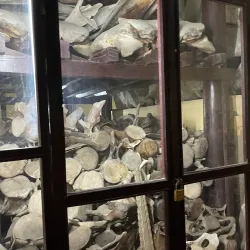 Van Thuy Tu Temple - Phan Thiet