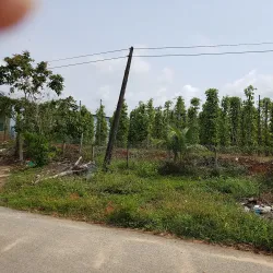 Phu Quoc National Park - Phu Quoc