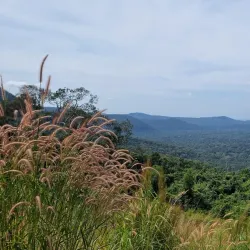 Phu Quoc National Park - Phu Quoc