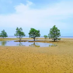 Phu Quoc National Park - Phu Quoc