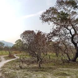 Phu Quoc National Park - Phu Quoc