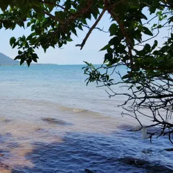 Phu Quoc National Park - Phu Quoc