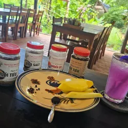 Phu Quoc Pepper Farm - Phu Quoc