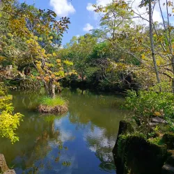 Suoi Tranh Waterfall - Phu Quoc