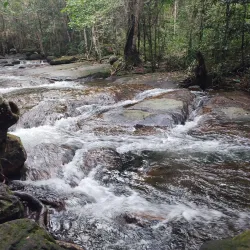 Suoi Tranh Waterfall - Phu Quoc