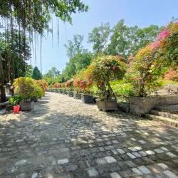 Suoi Tranh Waterfall - Phu Quoc