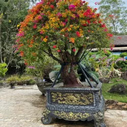 Suoi Tranh Waterfall - Phu Quoc