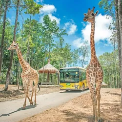 Vinpearl Safari Phu Quoc - Phu Quoc