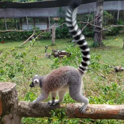 Vinpearl Safari Phu Quoc - Phu Quoc