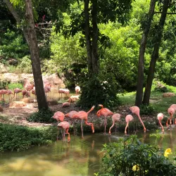 Vinpearl Safari Phu Quoc - Phu Quoc