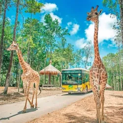 Vinpearl Safari Phu Quoc - Phu Quoc