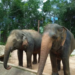 Vinpearl Safari Phu Quoc - Phu Quoc