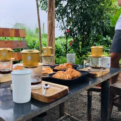 Coffee Plantations Around Pleiku - Pleiku