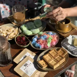 Coffee Plantations Around Pleiku - Pleiku