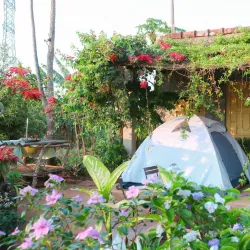 Coffee Plantations Around Pleiku - Pleiku