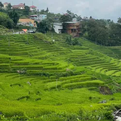 Dak Doa Ancient Rock Field - Pleiku