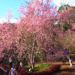 Mang Den Waterfall - Pleiku